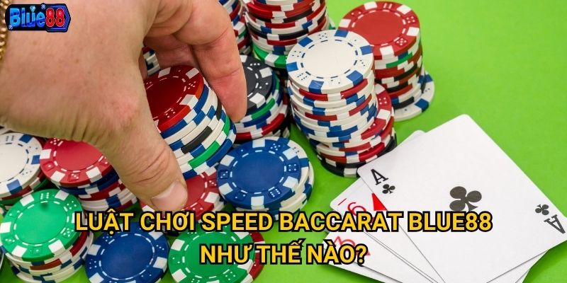 Speed Baccarat tại Blue88 có gì khác biệt so với baccarat truyền thống? 2 Luật chơi Speed Baccarat Blue88 như thế nào?