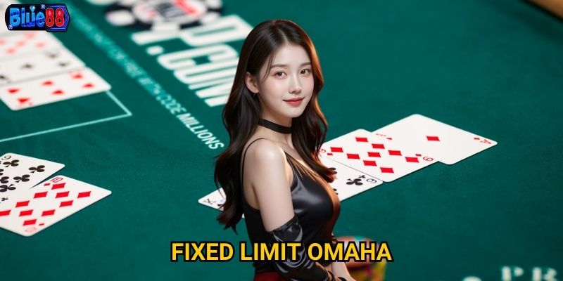 Fixed Limit Omaha tại Blue88 phù hợp với người chơi nào? 1 Fixed Limit Omaha