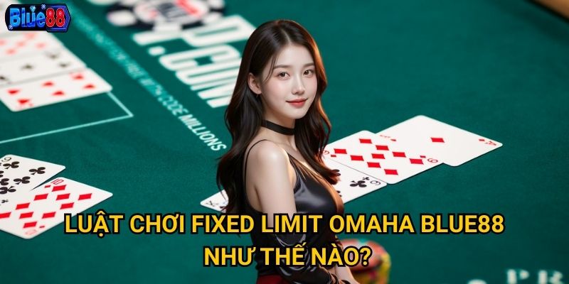 Fixed Limit Omaha tại Blue88 phù hợp với người chơi nào? 2 Luật chơi Fixed Limit Omaha Blue88 như thế nào?
