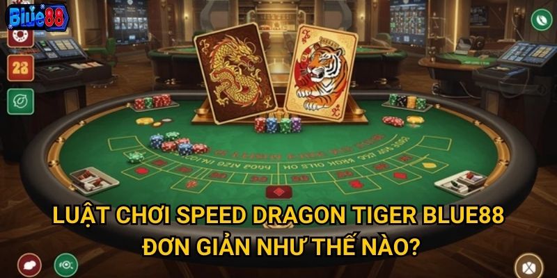 Speed Dragon Tiger tại Blue88 có phù hợp với người thích tốc độ? 2 Luật chơi Speed Dragon Tiger Blue88 đơn giản như thế nào?