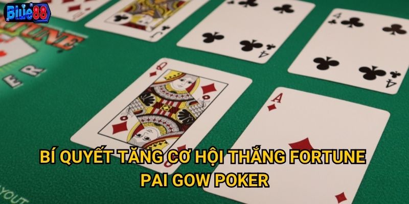 Fortune Pai Gow Poker tại Blue88 mang lại vận may như thế nào? 3 Bí quyết tăng cơ hội thắng Fortune Pai Gow Poker