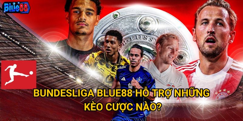 Cược bundesliga tại Blue88 có mang lại lợi nhuận cao? 2 Bundesliga Blue88 hỗ trợ những kèo cược nào?